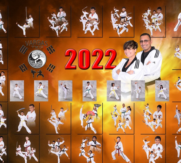 vargas-taekwondo-photo